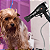 Suporte de Secador de Cabelo Articulável com Ventosa para Parede e Vidro - Imagem 7