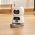 Alimentador Comedouro Automático Cães Gatos Pet Programável - Imagem 4