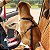 Cinto Segurança Pet Coleira Universal Porte Cachorro Gato Encaixe Universal - Imagem 4