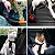 Cinto Segurança Pet Coleira Universal Porte Cachorro Gato Encaixe Universal - Imagem 6