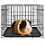 Gaiola Pequena Hamster Casinha Transporte Coelho Seguro - Imagem 2