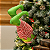 Pernas de Duende Árvore de Natal Movimento Decoração Luxo - Imagem 6