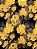 Capa De Almofada Floral Amarelo Preto Jacquard - Imagem 2