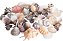 Kit de Conchas e Caracóis do Mar (150g) - Imagem 2