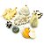 Kit de Conchas e Caracóis do Mar Grande (400g) - Imagem 1