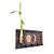 Porta Chaves em Madeira com Bambu da Sorte (40cm) - Imagem 1