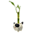 Gatinho em Cerâmica com Bambu da Sorte (3 Hastes) - Imagem 1
