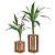 Conjunto de Vasos Rústicos em Madeira com Bambu da Sorte - Imagem 1