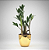 Vaso Dourado com Planta Zamioculca (Planta da Fortuna) - Imagem 8