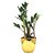 Vaso Dourado com Planta Zamioculca (Planta da Fortuna) - Imagem 1