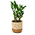 Cachepot Palha com Planta Zamioculca (Planta da Fortuna) - Imagem 1