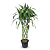 Arranjo com Bambu da Sorte Torre Trançada (100cm) - Imagem 3