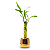 Cachepot Dourado com Bambu da Sorte (5 Hastes) - Imagem 1