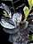 Cachepot Palha com Zamioculca Black Queen (Planta da Fortuna) - Imagem 3