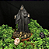 Estátua Orixá Exú Caveira em Resina (11cm) - Imagem 6