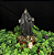 Estátua Orixá Exú Caveira em Resina (11cm) - Imagem 5
