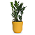 Planta Zamioculca com Cachepot Milan (Planta da Fortuna) - Imagem 3