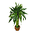 Bambu da Sorte Torre em Espiral com Cachepot em Cerâmica (50cm) - Imagem 2