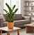 Planta Zamioculca Grande com Cachepot Milan - Imagem 6