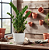 Planta Zamioculca Grande com Cachepot Milan - Imagem 9