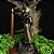 Estátua Orixás Xangô Premium (20cm) - Imagem 6
