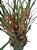 Orquídea Maxillaria tenuifolia (perfume de côco) - Imagem 3