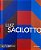 LUIZ SACILOTTO - GRANDES PINTORES BRASILEIROS - VOL. 14 - Imagem 1