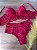 Conjunto 720 Desejo - Imagem 2