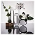 212 NYC Carolina Herrera Eau de Toilette - Imagem 8