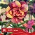 IRD Aurora Perfumada - Enxerto Rosa do Deserto - Imagem 2