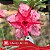 Liberty (RC115) - Enxerto Rosa do Deserto - Imagem 1