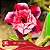 IRD Quasia - Enxerto Rosa do Deserto - Imagem 1