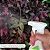 Adubo Forth Orquídeas Floração - Pronto Uso 500ml - Imagem 8