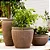 Vaso Antique - Imagem 1