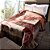 Cobertor Queen Size Raschel Plus Jolitex 220x240cm Zarzuela Tabaco - Imagem 1
