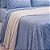 Cobertor Queen Size Plush/Sherpa Bella Enxovais Dreams Fred - Imagem 2