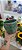 Vaso Seleta Firenzi M Verde de Cerâmica 13 cm x 12 cm - Imagem 1