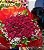 Buquê de 50 (Cinquenta) Rosas Amor em Flores - Cód: 3430564 - Imagem 3