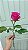 Rosa Pink Avulsa (Sem Embalagem) - Imagem 1