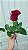 Rosa Vermelha Avulsa (Sem Embalagem) - Imagem 1