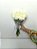 Buquê de 10 (Dez) Rosas Brancas – Beleza Natural - Imagem 2