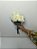 Buquê de 4 (Quatro) Rosas Brancas – Beleza Natural - Imagem 1