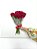 Buquê de 10 (Dez) Rosas Vermelhas – Beleza Natural - Imagem 2