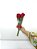 Buquê de 2 (Duas) Rosas Vermelhas – Beleza Natural - Imagem 2