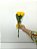 Buquê de 2 (Duas) Rosas Amarelas – Beleza Natural - Imagem 2