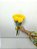 Buquê de 5 (Cinco) Rosas Amarelas – Beleza Natural - Imagem 1