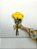 Buquê de 6 (Seis) Rosas Amarelas – Beleza Natural - Imagem 2
