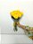Buquê de 9 (Nove) Rosas Amarelas – Beleza Natural - Imagem 2