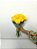 Buquê de 10 (Dez) Rosas Amarelas – Beleza Natural - Imagem 2