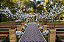 Caminho Cerimonial Encantador - Casamento e Celebrações - Imagem 1